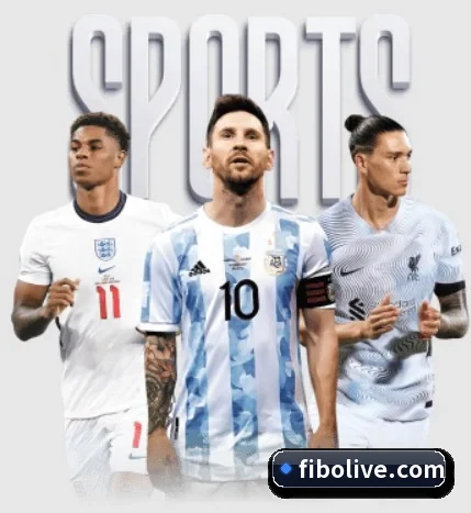 五大体育板块覆盖,从比分到直播全覆盖